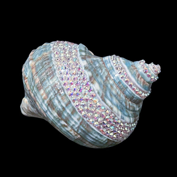 スワロフスキーSHELL(アリエル)廃盤品 スワロフスキー置物・アクセサリー専門店 ☆プラネタリウム☆