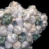 Right side of coral centerpiece featuring pacific opal swarovski © crystals and natural seashells