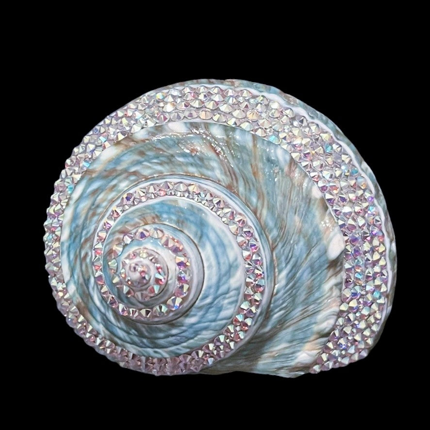 Full Crystal Banded Jade Turbo Seashell Collectible