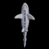 Crystallized Mako Shark  Sculpture Featuring Aquamarine Premium Crystal