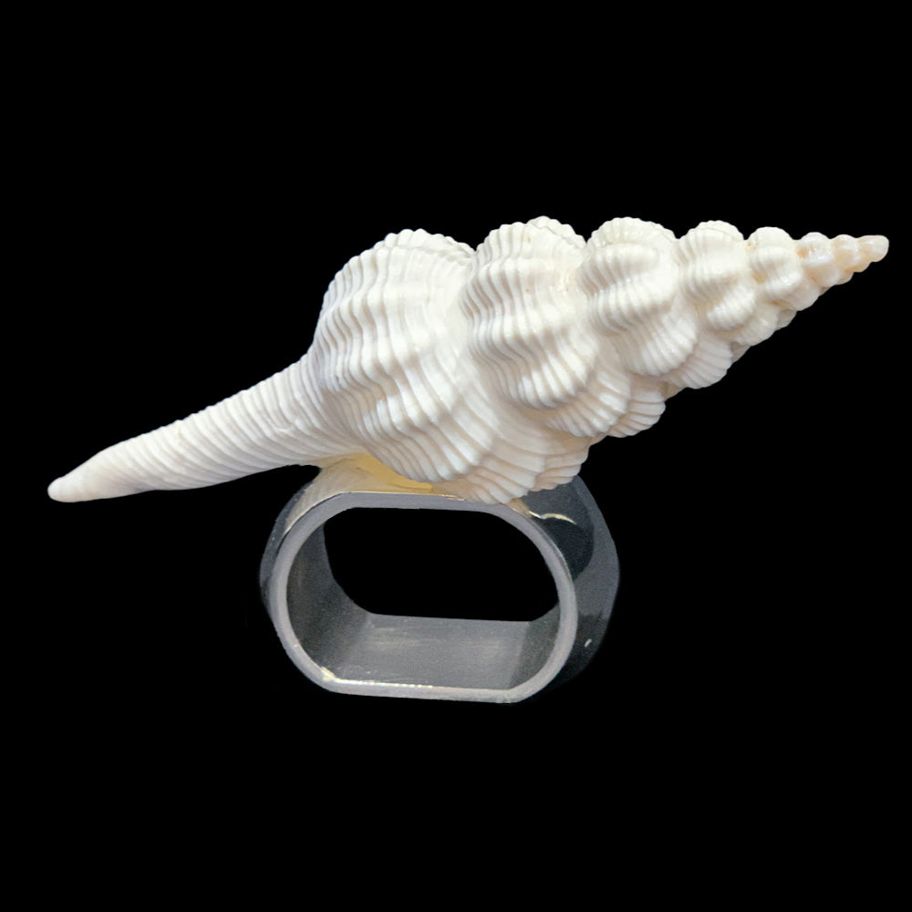 Premium White Natural Spiral Shell Napkin Ring | Set of 4