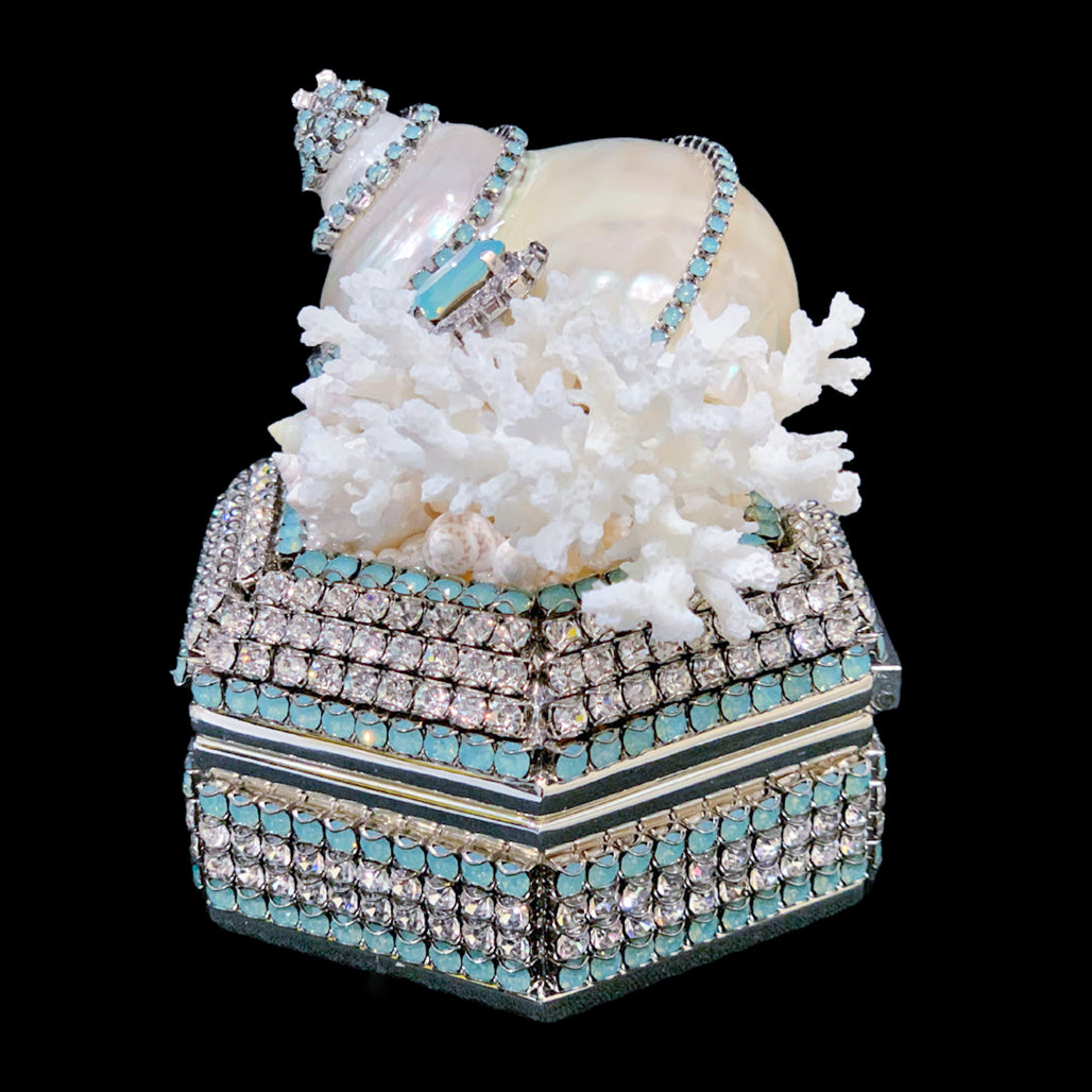 Pacific Opal Hexagon Box Featuring Premium Crystals & Natural Seashells