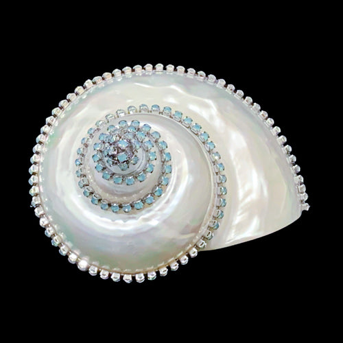 Pearl Turbo Shell Collectible Featuring Pacific Opal Premium Crystal