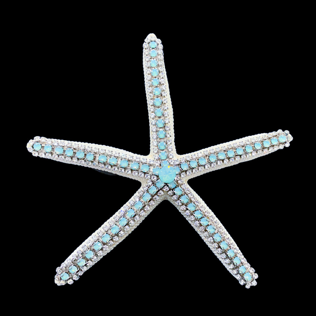 Pacific Opal Premium Crystallized Natural Starfish