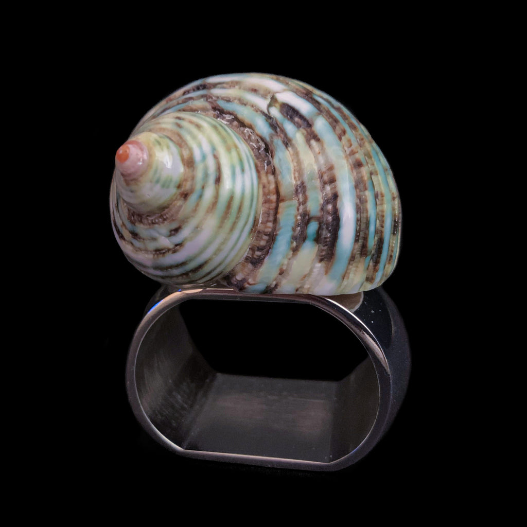 Small Jade Turbo Shell Napkin Ring | Set of 4