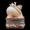 Topaz Shell Cluster Ring Box Featuring Premium Crystal