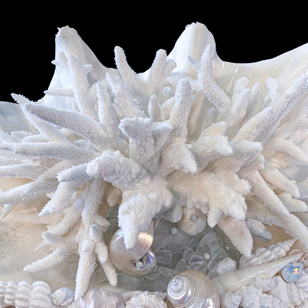 King Clam Shell Centerpiece Featuring Premium Crystal & Natural Sea Life