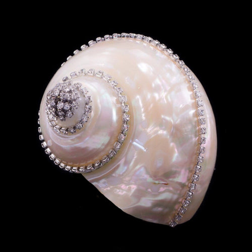 Pearl Turbo Shell Collectible Featuring Premium Crystal