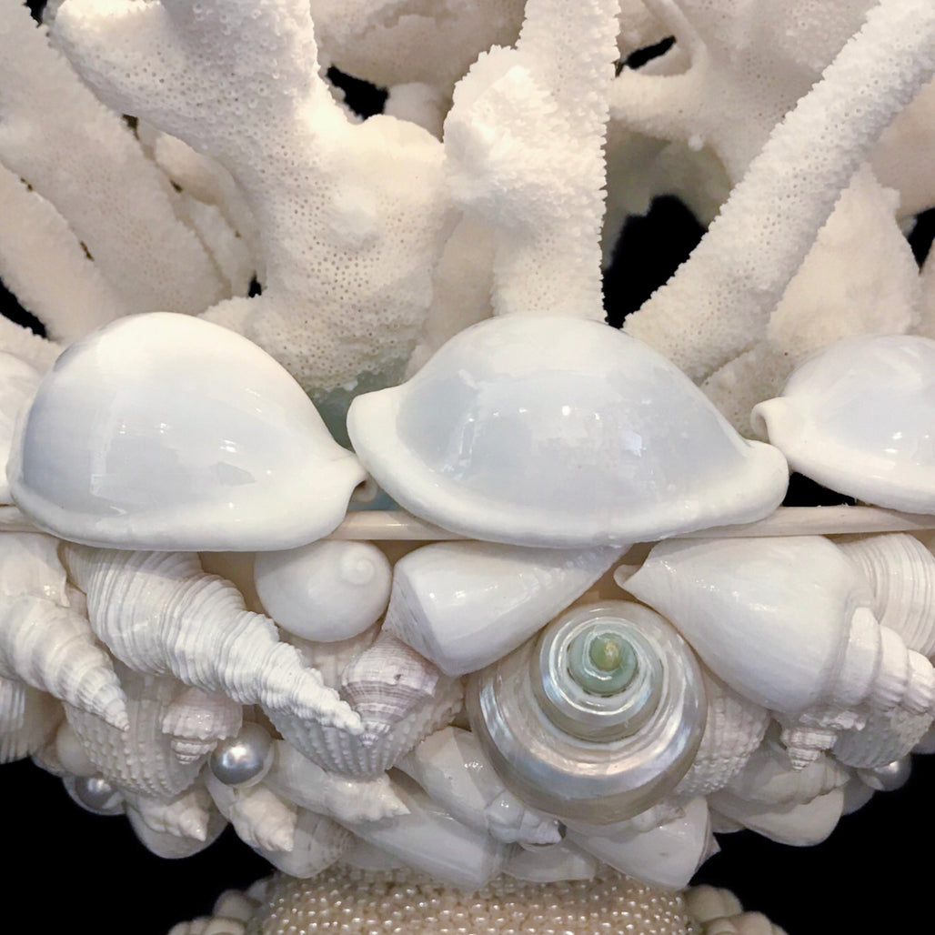 Stag Horn Coral Centerpiece Featuring Premium Crystals and Natural Sea Life