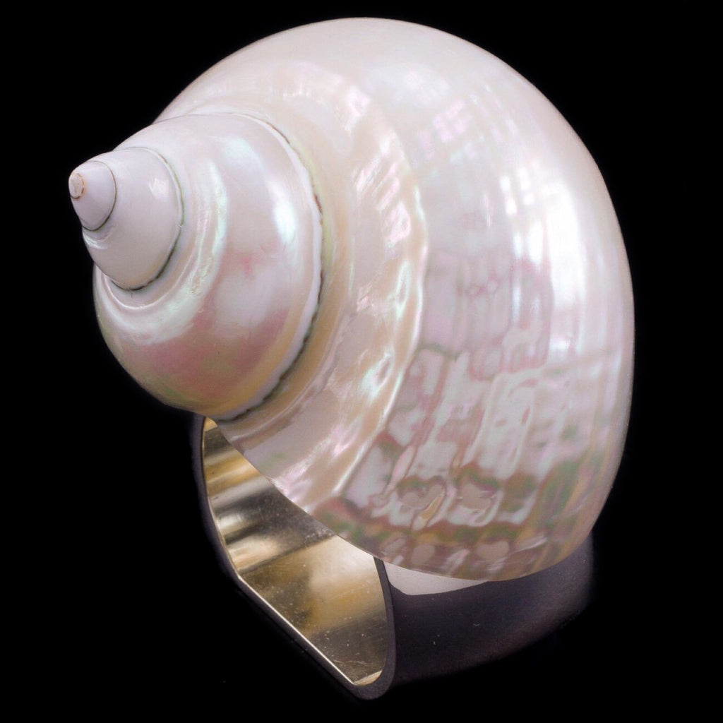 Large Pearl Turbo Shell Napkin Ring | Set of 4