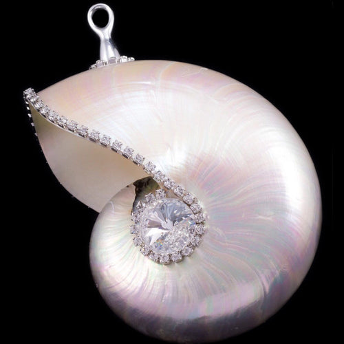 Nautilus Shell Christmas Ornament Featuring Premium  Crystal