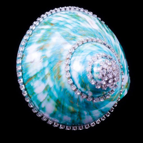 Jade Turbo Seashell Collectible featuring Premium Crystal
