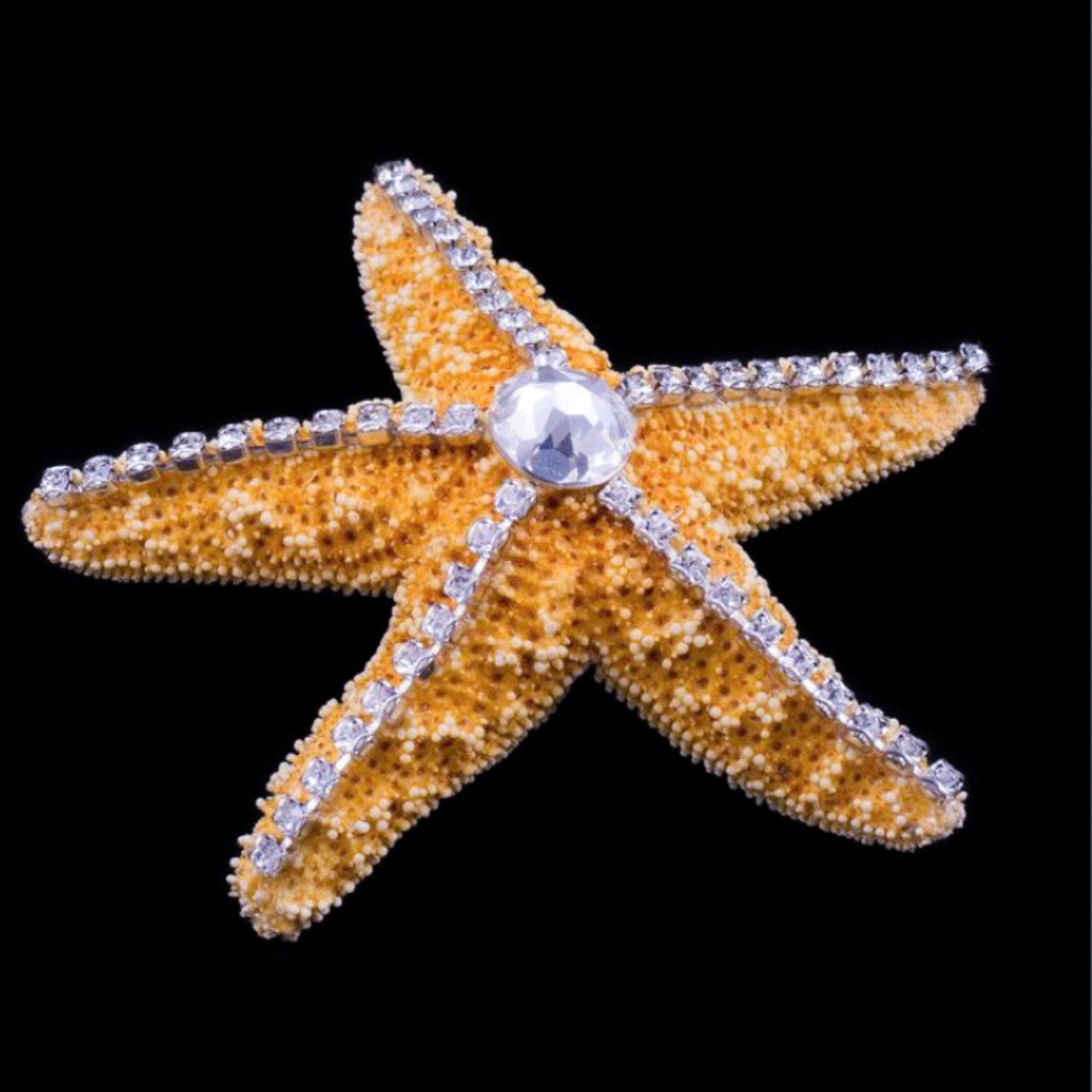 Sugar Starfish Featuring Premium Crystal