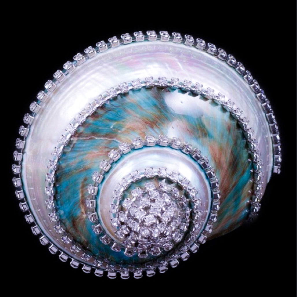 Banded Jade Turbo Seashell Collectible featuring Premium Crystal