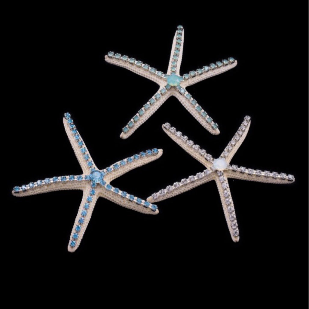 Crystallized Natural Starfish | Sets of 3