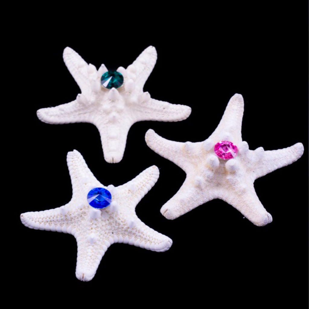 Knobby Starfish featuring Premium Crystal | Set of  3