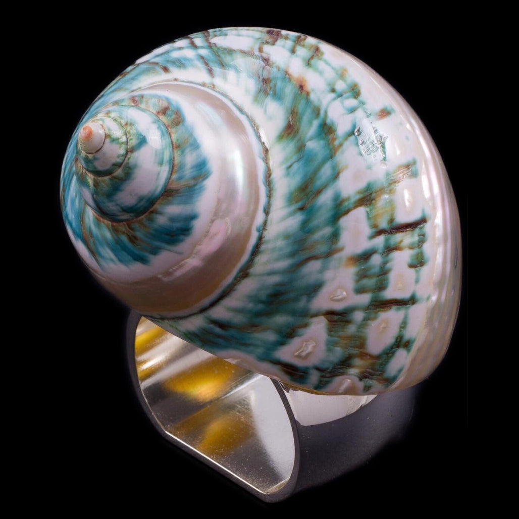 Medium Banded Jade Turbo Seashell Napkin Ring | Set of 4