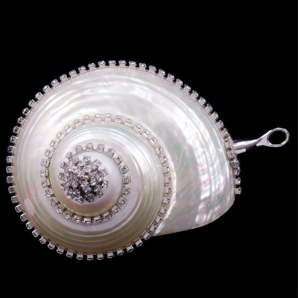 Pearlized Turbo Shell Christmas Ornament Featuring Premium  Crystal