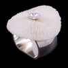 Mushroom Coral Napkin Ring Featuring Premium Crystal | Set of 4